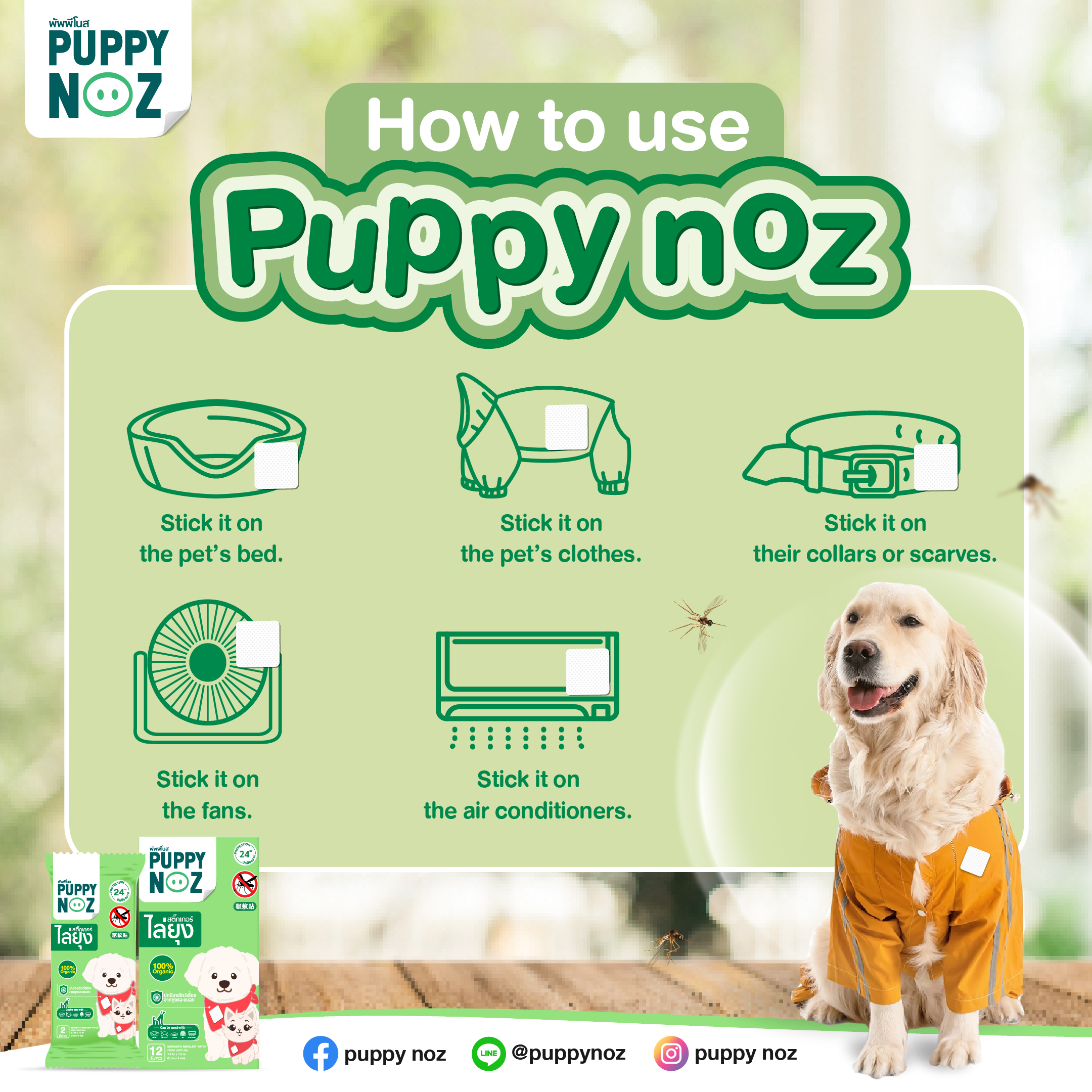 How to Use Puppy noz_ENG