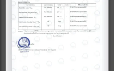 Happy Noz ในงาน Kids India 2025: ก้าวสำคัญของการพบปะคู่ค้าและผู้เยี่ยมชมจากนานาชาติ